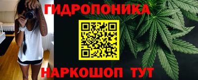 прущие грибы Апрелевка