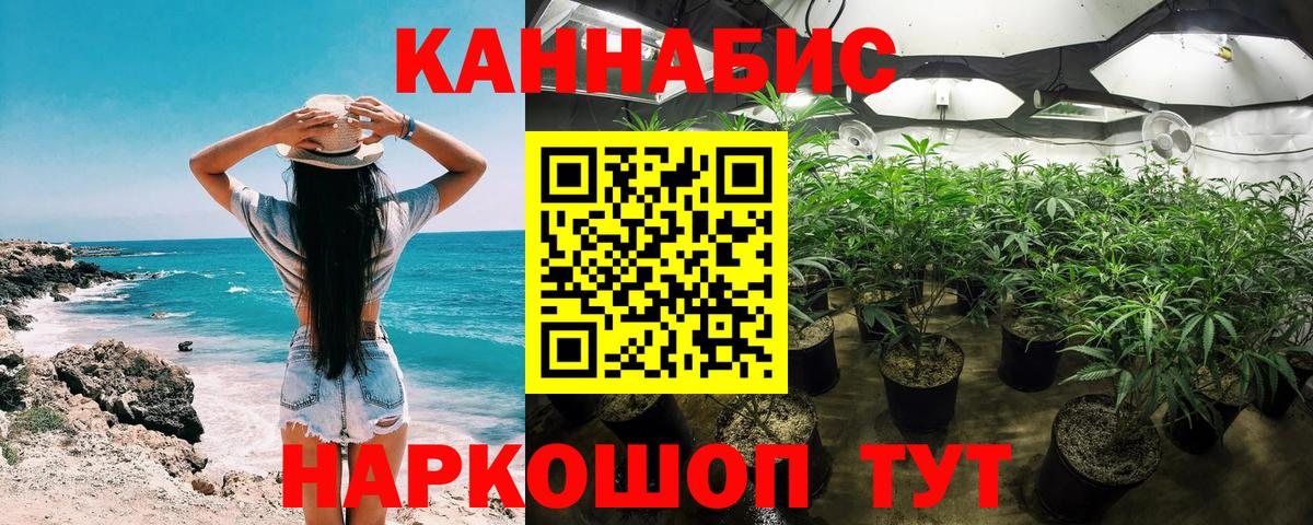 Шишки марихуана Bruce Banner  Марихуана конопля  Красногорск 